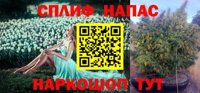 стаф Краснознаменск